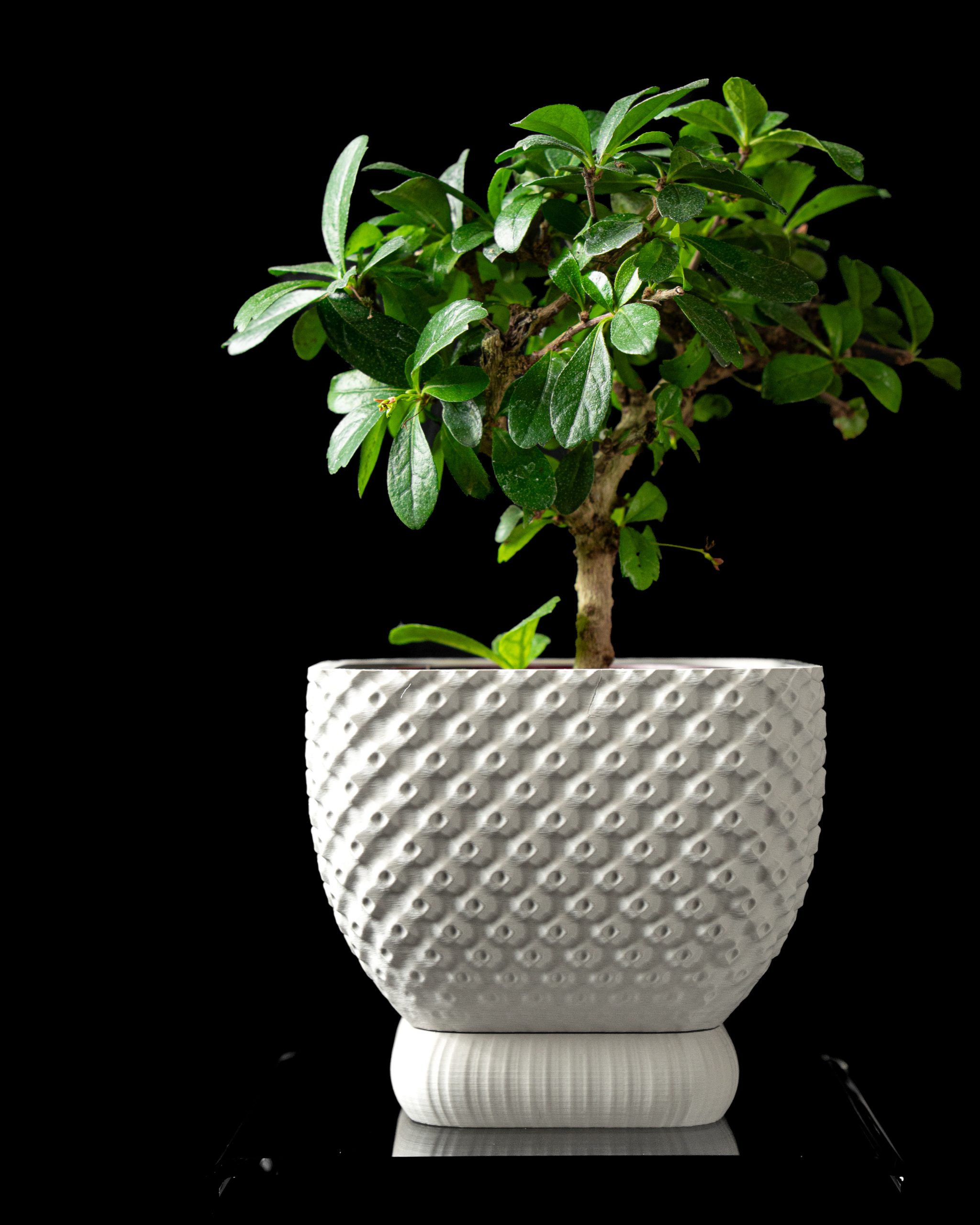 Connect Planter Pot - Image 5