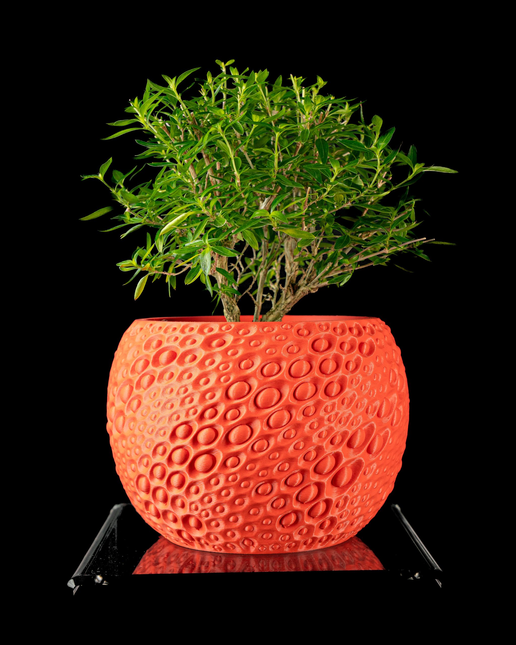 Pearl Planter Pot - Image 5