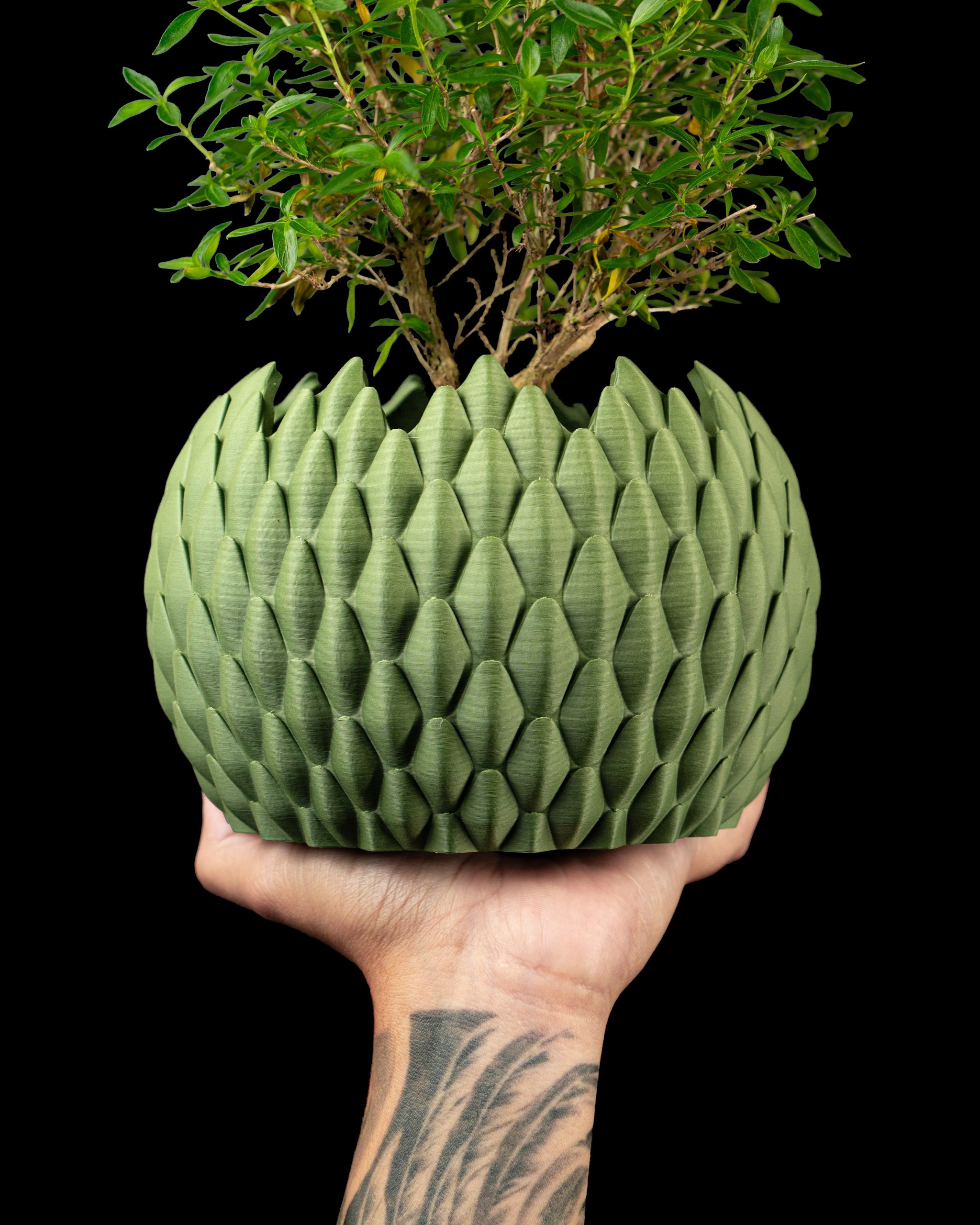 Dragonscale Planter Pot
