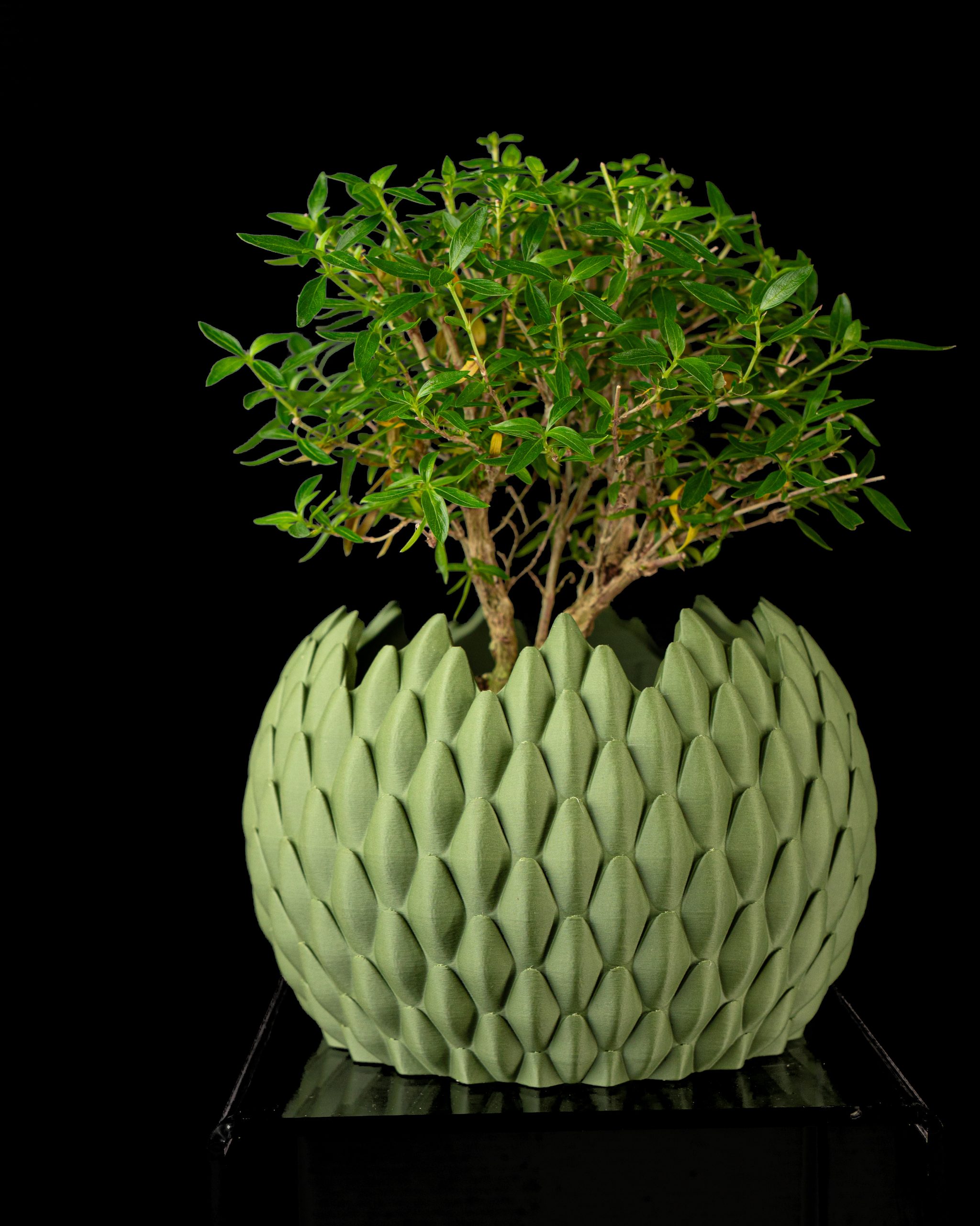 Dragonscale Planter Pot - Image 5