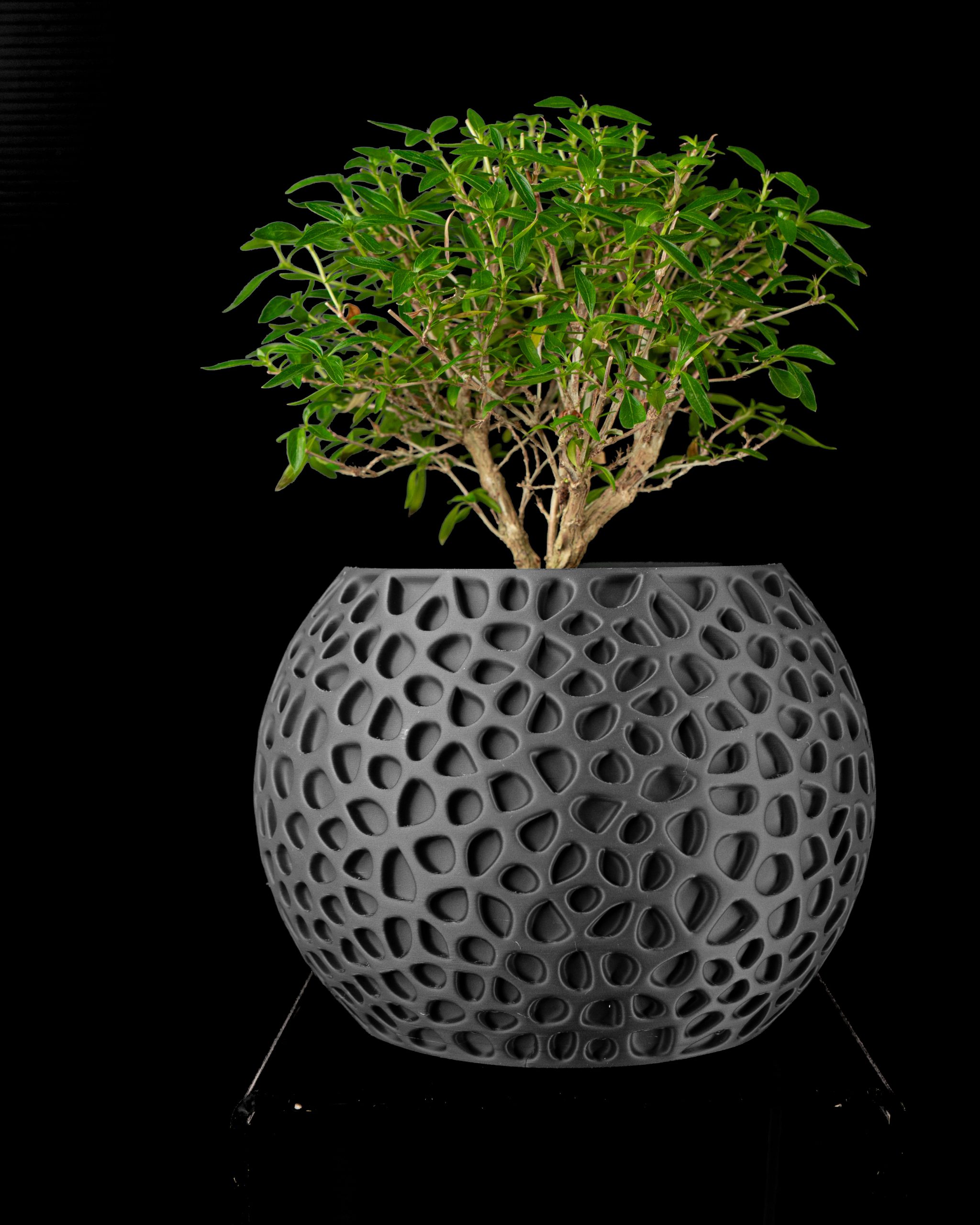 Pulp Planter Pot - Image 4