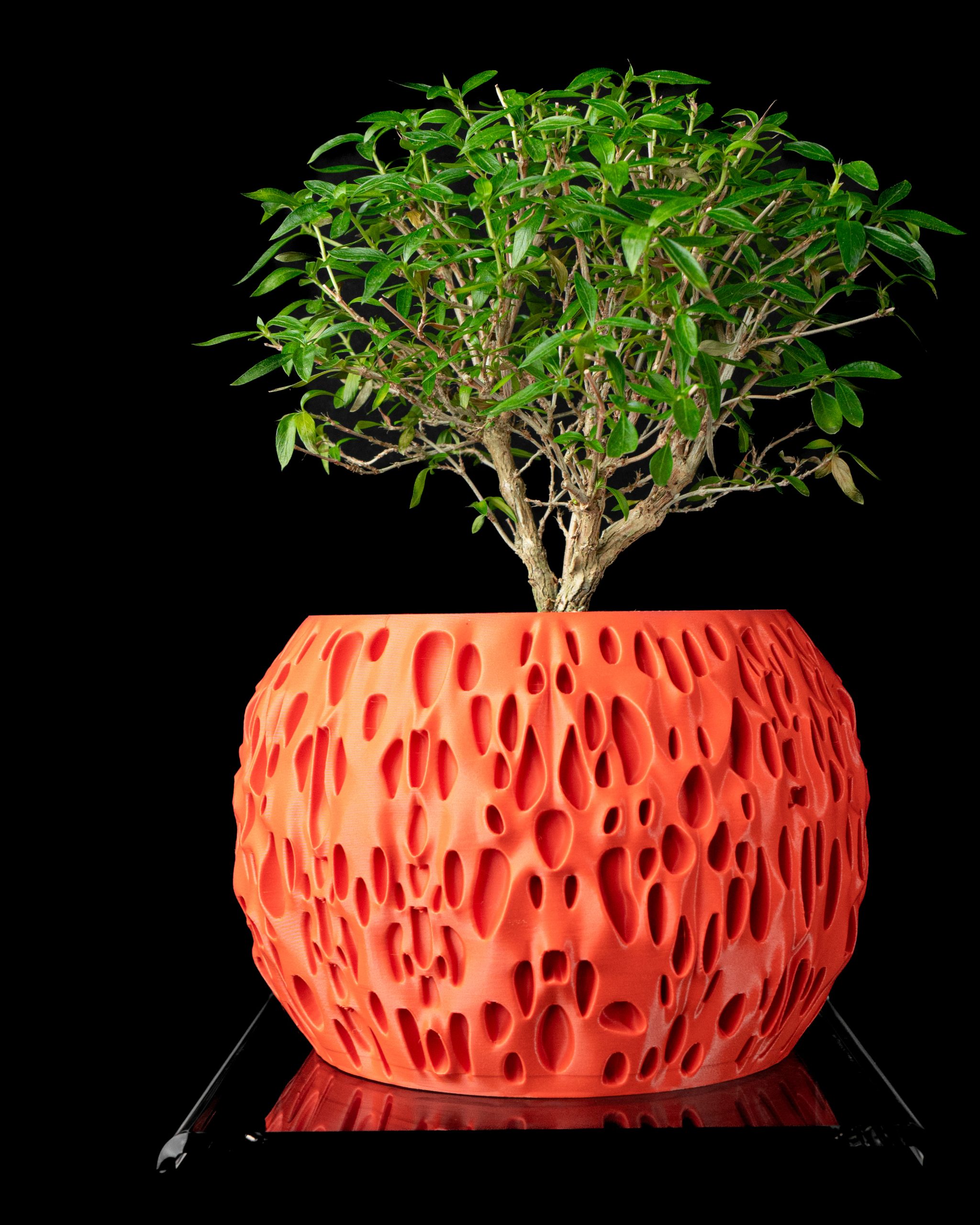 Spotted Planter Pot - Image 2