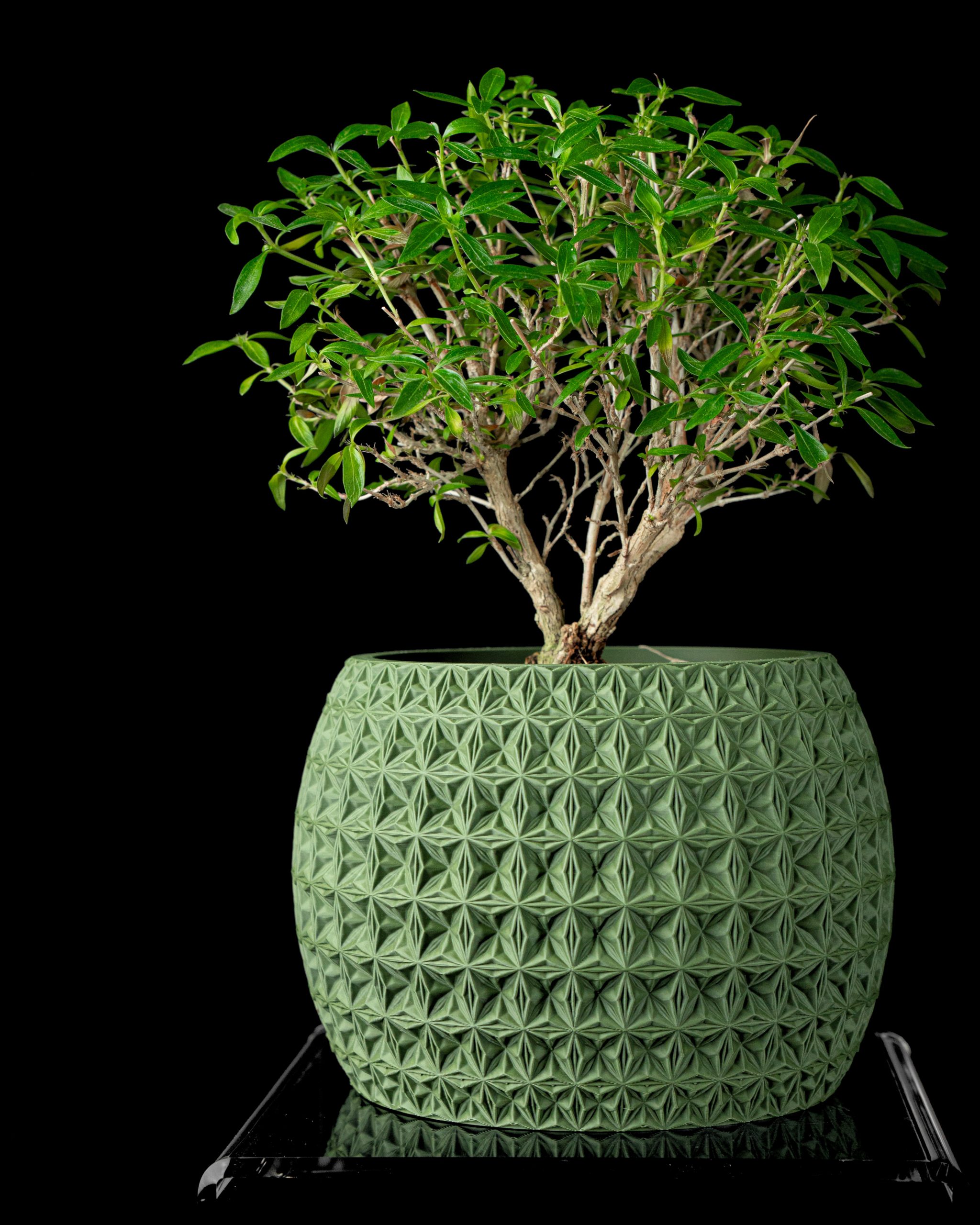 Burst Planter Pot - Image 4