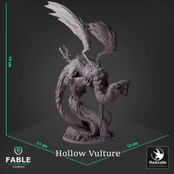 Hollow Vulture