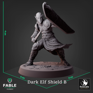 Dark Elf Shield B