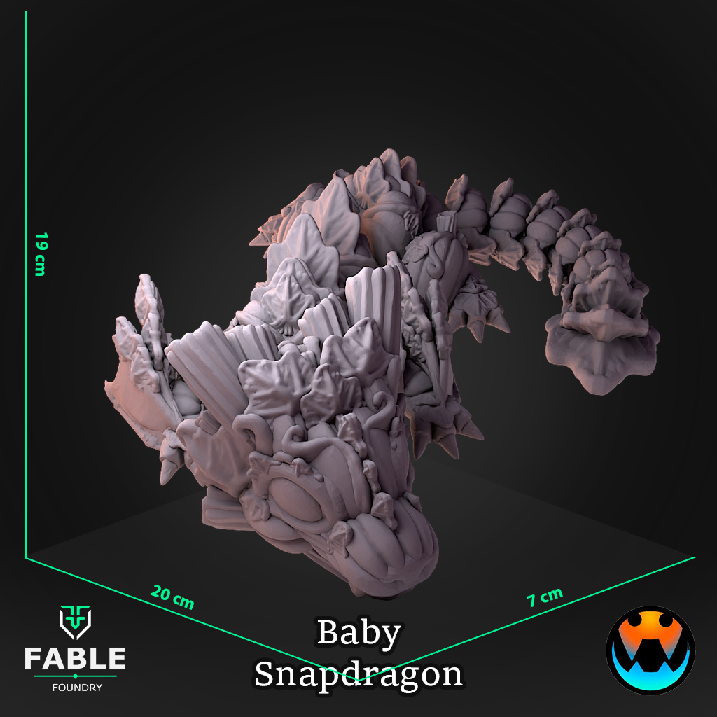 Baby Snapdragon