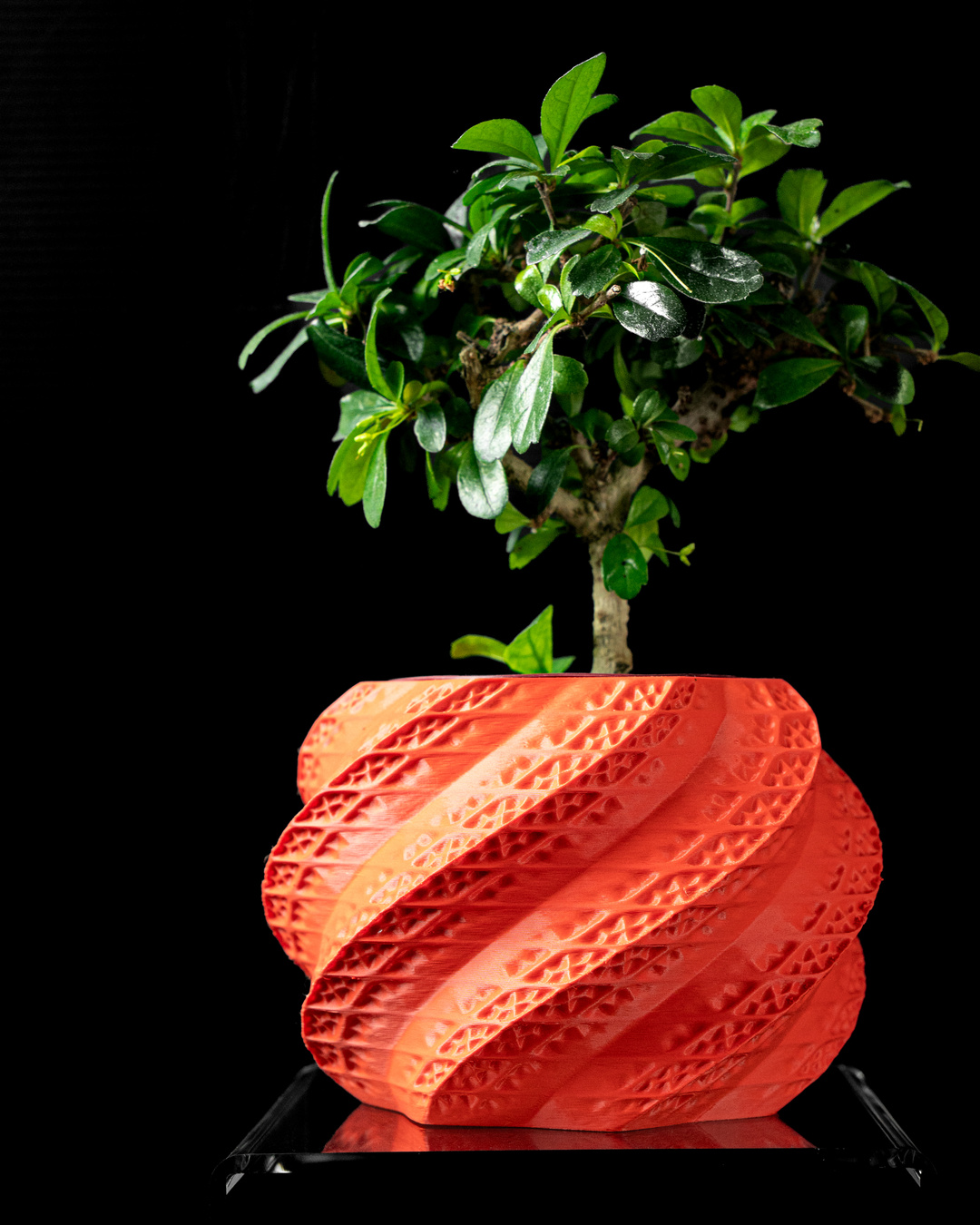 Shell Planter Pot - Image 2
