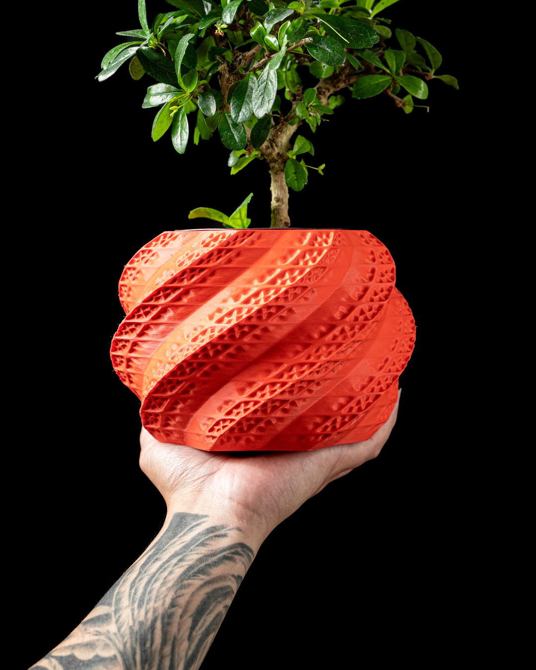 Shell Planter Pot